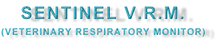 sentinelhead.gif (10763 bytes)